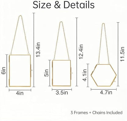 Relaxing Garden Pressed Flower Frame Kit, 3 Hanging Glass Frames - Image 3