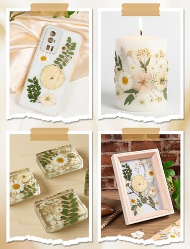 100pcs White and Light Yellow Dried Pressed Flowers Bulk, Natural Fall Pressed Dried Flowers with Tweezer for DIY Crafts Resin Mold Candles Cake Bridal Scrapbooking Supplies - Image 5