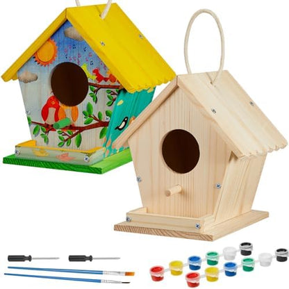 Juexica 2 Pack DIY Birdhouse Kits for Kids 8+ Build and Paint, Rotundity by Juexica