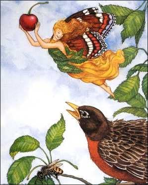 Cherry, Robin Bird and Flower Fairy - Paper Tole 3D Decoupage Craft Kit Size 8x10 inches K95707 (The Additional Pictures Show Examples This Craft Kit Assembled and Framed in a Shadow Box Frame) by DSC