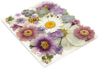 40PCS Real Nature Dried Pressed Flowers for Resin Mold, Dry Pressing Floral with Butterfly Transparent Stickers Set for DIY Jewelry Card Scrapbook Art Craft Decors - Image 6