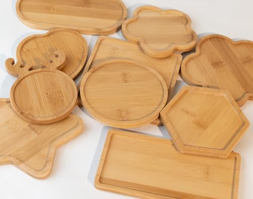 Lanyani 10pcs Wooden Assorted Shapes Mosaic Bases for DIY Mosaic Coaster Kit, with Wooden Surface for Handcrafted Glass Mosaic Tiles Crafts for Adults and Kids - Image 2