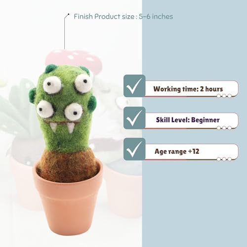 Woolbuddy Needle Felting Starter Kit (Eye Plant) for Beginners with Tool - Image 5