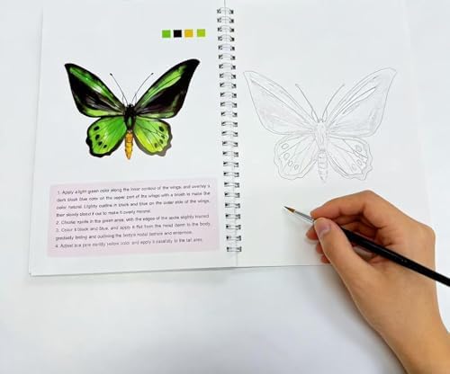 Watercolor Workbook，Water Paint Adult Set，Easy Coloring Book,Beautiful Paintings for Beginner（Fruit - Album (Animals - Album) - Image 4