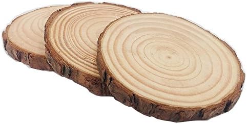 Unfinished Natural Wood Slices 12 Pcs 3.5-4 inch Craft Wood kit Circles Crafts Christmas Ornaments DIY Crafts with Bark for Crafts Rustic Wedding Decoration by William Craft (3.5-4inch) - Image 2