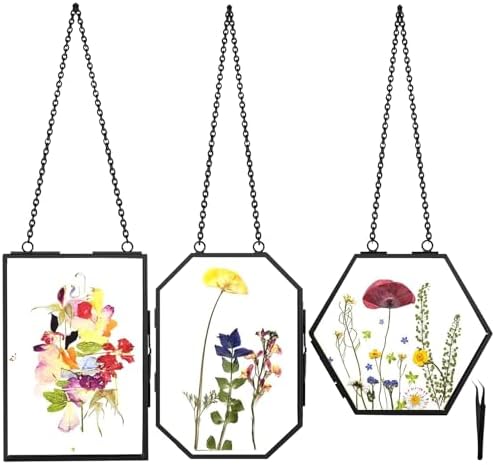 FOCHIER F Hanging Pressed Flower Frames, 3Pcs Double Glass Floating Picture Frame Handmade, Glass Frame for Pressed Flowers, Vintage Brass Picture Frame for Artwork Wall Display Mount, Black by FOCHIERF