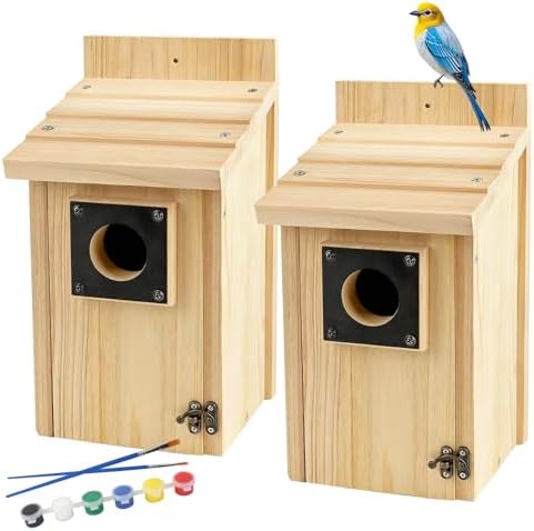 2 Pack Wood Bird Houses for Outside with Paint Set for Bluebird Finch Swallow Wren Chickadee, Crafts & DIY Birdhouse Kits for Adults & Kids to Build by Rioychan