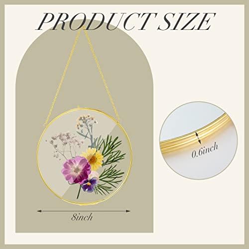 8 Inch 4 Pcs Pressed Flower Frames Double Glass Frame Wall Decor, Gold - Image 2