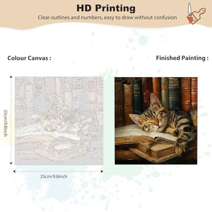 EOBROMD Sleepy Cat Framed Paint by Numbers Kits for Adults with Wooden Easel, DIY Paint by Numbers for Adults Beginner, Painting on Stretched Canvas, Oil Painting Kits for Home Decor Gift 10x10 Inch - Image 2