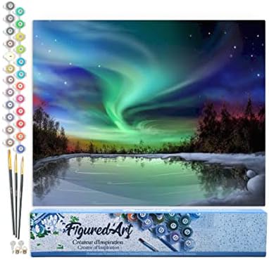 Figured'Art Paint by Numbers Kit for Adults Aurora Borealis and Lake 16"x20" - Craft Art Painting DIY Kit Rolled Canvas Without Frame by FiguredArt