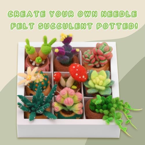 Yizzvb Needle Felting Kit, 9 Pcs Wool Succulent Needle Felt Beginner Kits - Image 6