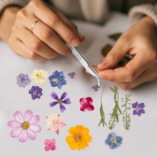 80PCS Spring Large Pressed Flowers Leaves , Real Nature Dry Flowers for Resin Craft, Larage Pressing Floral with Tweezers Set for DIY Jewelry Making Nail Card Scrapbook Art - Image 7