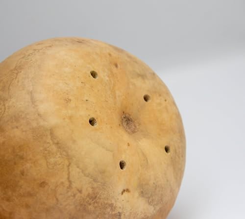 Natural Gourd Birdhouse Blanks for Crafts, 15 Count - Image 3