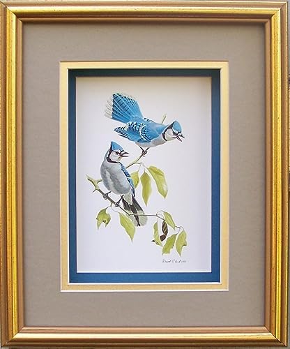 DSC Blue Jay Birds Paper Tole 3D Decoupage Craft Kit Size 8x10 inches 8062 (The Additional Pictures Show This Craft Kit Framed in a Shadow Box Frame) - Image 4