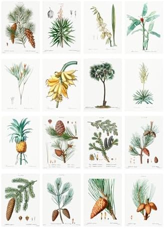 Decoupage Paper Pack (35 Sheets 6"x8") Pretty Diagrams of Pine Trees and Banana Plants FLONZ Vintage Illustration Pictures Cards for Decoupage, Craft and Scrapbooking - Image 2
