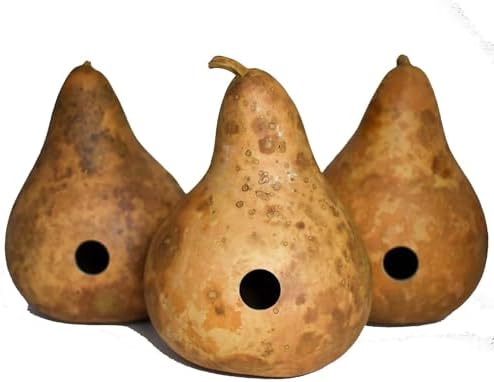 Natural Gourd Birdhouse Blanks for Crafts, 15 Count by Gourdaments