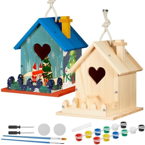 Juexica 2 Pack DIY Birdhouse Kits for Kids 8+ Build and Paint, Love Shaped by Juexica