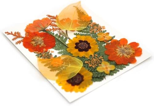 Dried Pressed Flowers Real Natural Petals Bulk Dried Leaves Plant for DIY Art Resin Candle Jewelry Making Bookmarks Scrapbooking Card Decorations Phone Case - Image 7