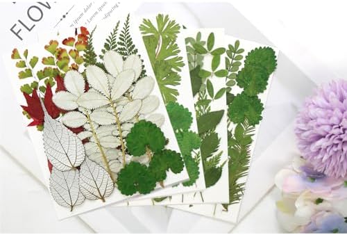 84 Pcs Dried Pressed Leaves Flowers Real Natural Dried Leaves Plant Kit Assorted Dried Greenery for Resin Art DIY Crafts Party Decorations Bookmarks Scrapbooking Candle Soap Making, 20 Types - Image 3