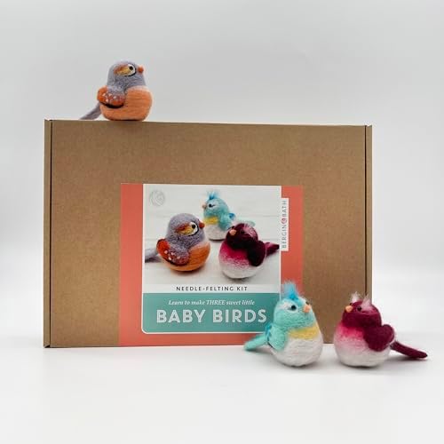 Bergin & Bath Needle Felting Kit Baby Birds - Adult and Teen Arts and Craft Kit for Making Three Little Wool Needle Felted Bird Decorations by BerginBath