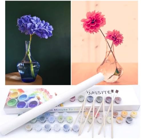 BAISITE Paint by Numbers Kit for Adults Beginners,12" Wx16 L 2 Pack Canvas for Painting Kits for Adults in Colorful Box-PBN207-208 by PaintbyNumbersKitsforAdults