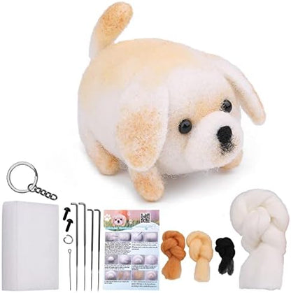 QMNNMA Needle Felting Kit for Beginners, Labrador Wool Felting Kit by Qmnnma