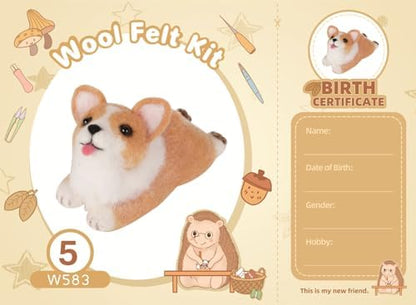 Wizardi Beginner Needle Felting Kit for Adults - Corgi. Animal Felting Kit 7x4x4cm. Felting Tools. Wool Felting Supplies. Felt Crafts. Wool Felt. F07N8-W551-N5 by Wizardi