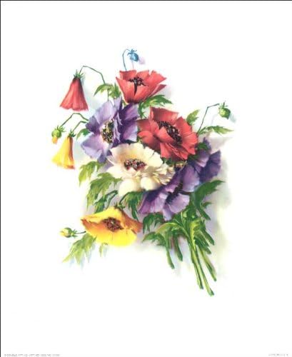 DSC Flower Nosegay III - Paper Tole 3D Decoupage Craft Kit Size 8x10 K51338 (The Additional Pictures Show Examples This Craft Kit Assembled and Framed in a Shadow Box Frame) by DSC