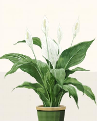 CISDKK Flowers Cross Stitch Chart,Embroidery Kits,Illustrated House Plant,able,Monstera,Snake Plant,Peace Lily,Plants,11CT,9.45 * 13.39 inch by Unknown