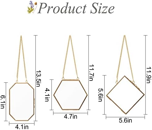 Apipi Hanging Glass Frames for Pressed Flowers Crafts with Sturdy Chain - Image 4