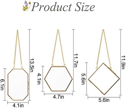 Apipi Hanging Glass Frames for Pressed Flowers Crafts with Sturdy Chain - Image 4