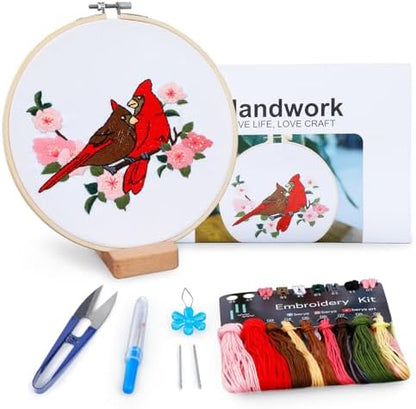 Hummingbird and Flower Embroidery Kit for Adults, DIY Embroidery Kits with Original Design Patterns, Learn to Embroider Kit Beginner with Needles and Thread, Clear Instructions and Video (BEB003) by BERYA
