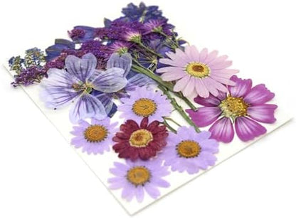 Purple Dried Pressed Flowers Real Natural Petals Bulk for Scrapbooking Art Crafts DIY Gift Papermaking Resin Party Decorations Candle Soap Card Jewelry Making Supplies - Image 7