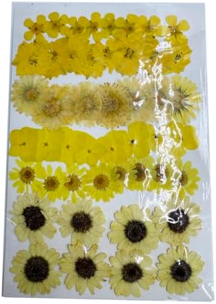 Natural Dried Pressed Mix Flowers Leaves , 41 Pieces, Many Varieties, for Cake Decorating, Jewelry Making DIY Art Crafts, Candle Making, Nails Décor, Soap Making, Phone Case (Yellow Flower) - Image 2