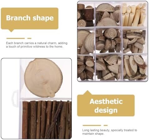 HOODANCOS 1 Box Rustic Natural Wood Craft Kit with Birch Branches and Driftwood Pieces, Easy DIY Art Wood Sticks and Adults, for Arts and Crafts Projects and Dining Room Decoration - Image 3