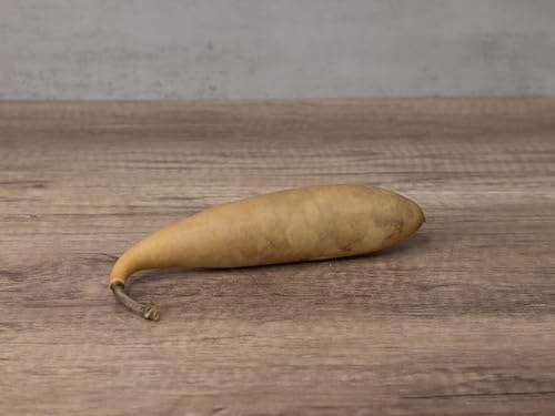 Box of 20 Dried Banana Gourds - Gourds for Crafts and Decorating - Image 6
