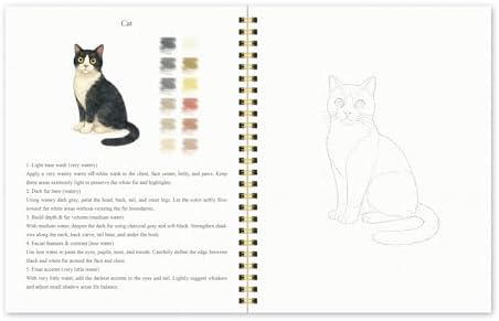 Watercolor Workbook for Beginners – Animals, 16 Original Watercolor Projects, Watercolor Kit with 48 Colors Paint Set, 6 Brushes & Palette,Watercolor Workbook for Adults, Creative Art Gift - Image 6