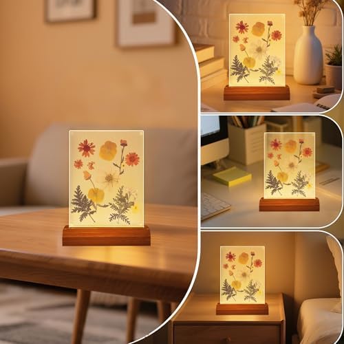 Pressed Flower Frame Lamp, LED DIY Frame Night Light for Pressed Flowers, Mother Day Birthday Gifts for Mom Love Girlfriend, Home Bedroom Table Decor Xmas Holiday Valentine's Day Idea - Image 4