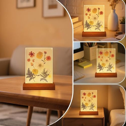 Pressed Flower Frame Lamp, LED DIY Frame Night Light for Pressed Flowers, Mother Day Birthday Gifts for Mom Love Girlfriend, Home Bedroom Table Decor Xmas Holiday Valentine's Day Idea - Image 4