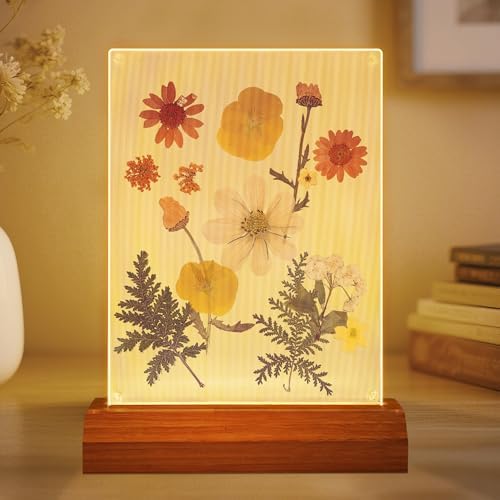 Pressed Flower Frame Lamp, LED DIY Frame Night Light for Pressed Flowers, Mother Day Birthday Gifts for Mom Love Girlfriend, Home Bedroom Table Decor Xmas Holiday Valentine's Day Idea by Okayera