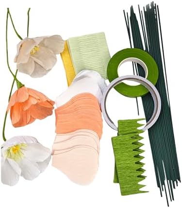 Mybbshower Crepe Paper Flower DIY Making Kit, Icelandic Poppy, Assorted Colors Peach White Orange 24 Count by Mybbshower
