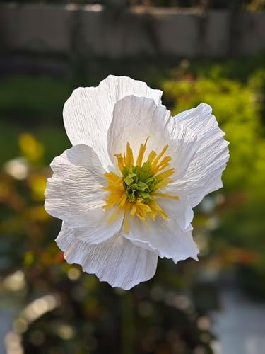 White Crepe Paper Poppy Flower DIY Making Kit for Home Table Centerpieces Decoration Office Wedding 24 pcs - Image 2