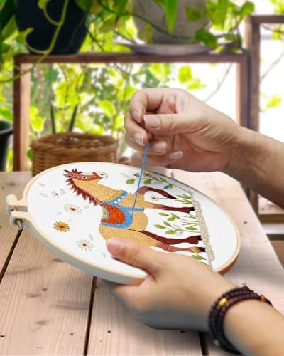 TINDTOP Embroidery Kit for Adult, 3 Pack Embroidery DIY Starter Kit - Image 4