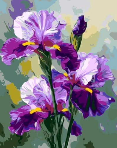 OJTOYART Lris Paint By Numbers Kit for Adults, Wall Decor 16 x 20 inch by Unknown
