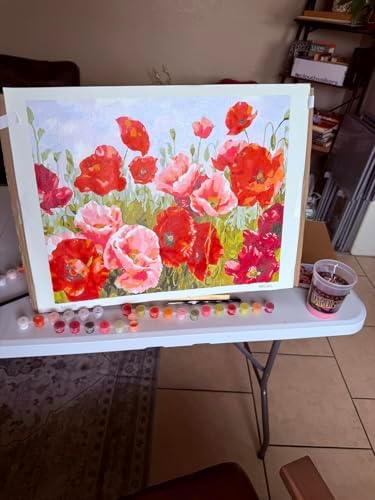 BAISITE Paint by Numbers Kit for Adults Beginners,20" Wx16 L Canvas for Painting Kits for Adults in Colorful Box Poppy Flowers-BSC001-Already Stretched on a Wooden Frame - Image 2