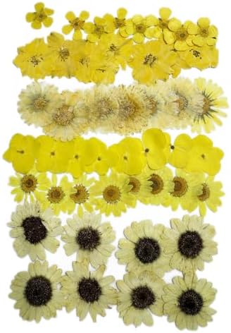 Natural Dried Pressed Mix Flowers Leaves , 41 Pieces, Many Varieties, for Cake Decorating, Jewelry Making DIY Art Crafts, Candle Making, Nails Décor, Soap Making, Phone Case (Yellow Flower) by KOOTIPS