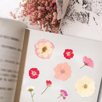 50Pcs Dried Pressed Flowers Real Pressed Flowers Natural Dry Leaves Bulk Mixed Colorful Herbs Kit with Tweezers for Scrapbooking DIY Candle Jewelry Crafts Making Nails (Pink) - Image 5
