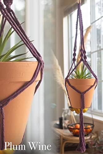 Aesthetic Creative Macrame Kit, Makes 3 DIY Plant Hangers for Teens & Adult Beginners, Craft Supplies for Boho Art Project-3 Custom Color Macrame Cord, Wooden Rings & Instructions - Image 5