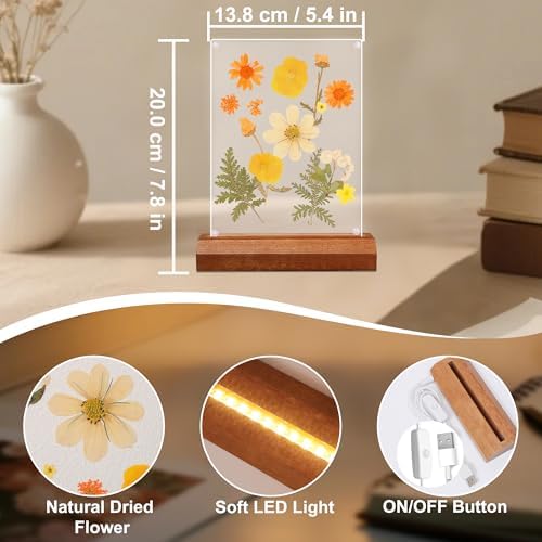 Pressed Flower Frame Lamp, LED DIY Frame Night Light for Pressed Flowers, Mother Day Birthday Gifts for Mom Love Girlfriend, Home Bedroom Table Decor Xmas Holiday Valentine's Day Idea - Image 5