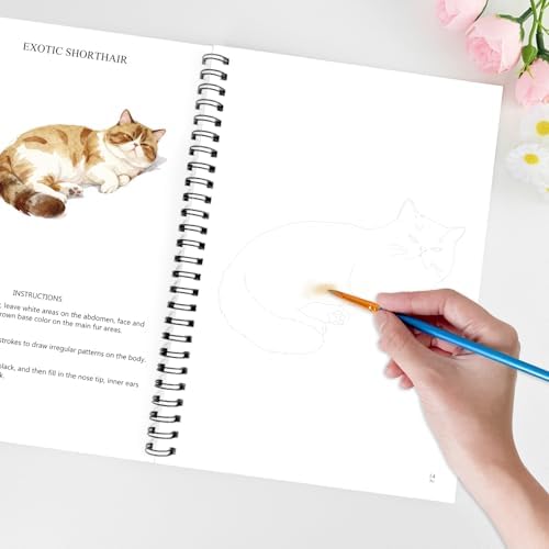 Watercolor Workbooks for Adults Beginners & Teens, 16 Colors 15 Beautiful Paintings, Pre-Outlined Designs, Easy Watercolor Art Book（Without Palette Pet） - Image 7